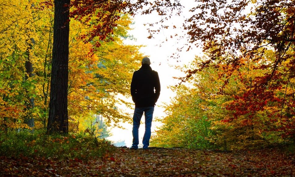 Александр Росляков. Чудо-осень