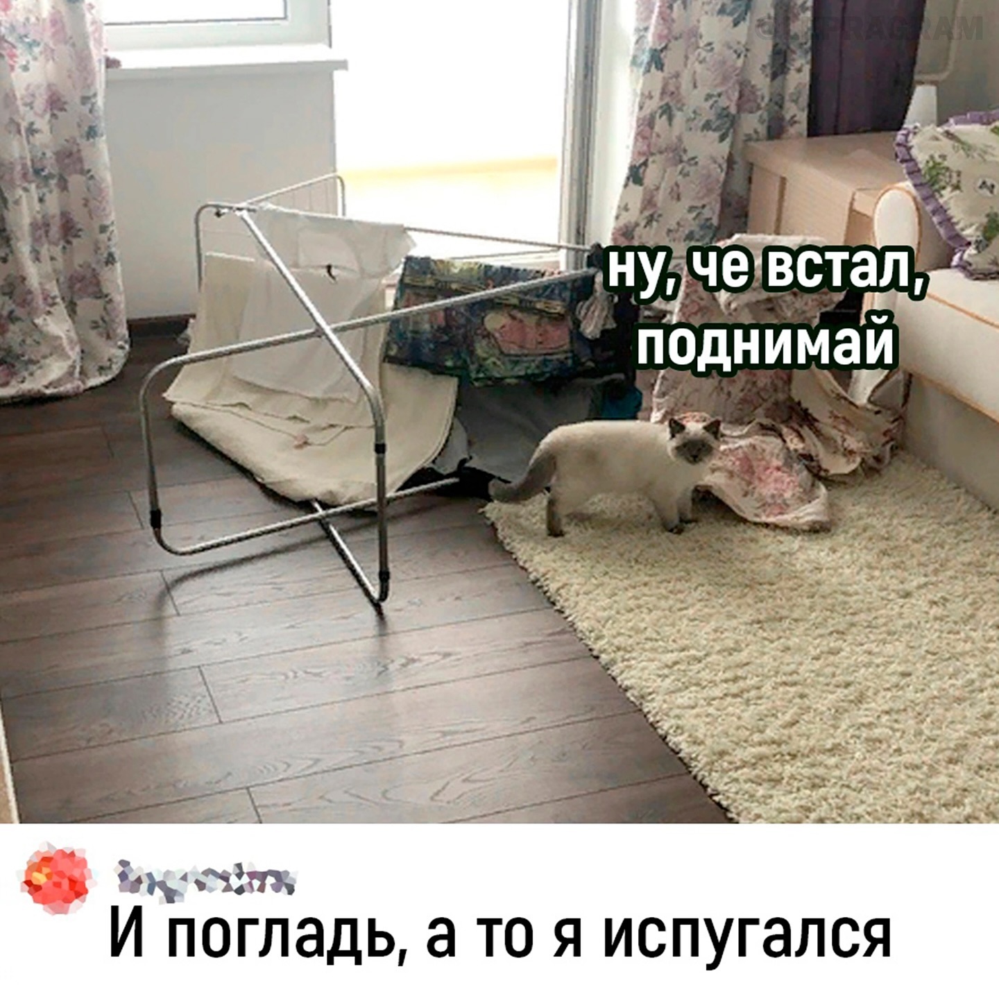 Немножко смешных зверушек... Надёргано , отовсюду
