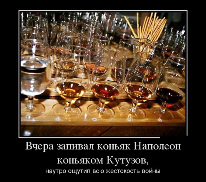 Демотиваторы (30 фото)