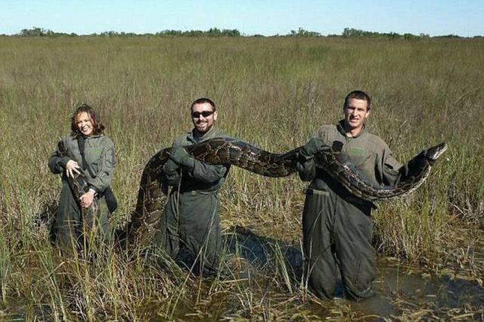 Подборка прикольных и веселых фотографий из нашей жизни 