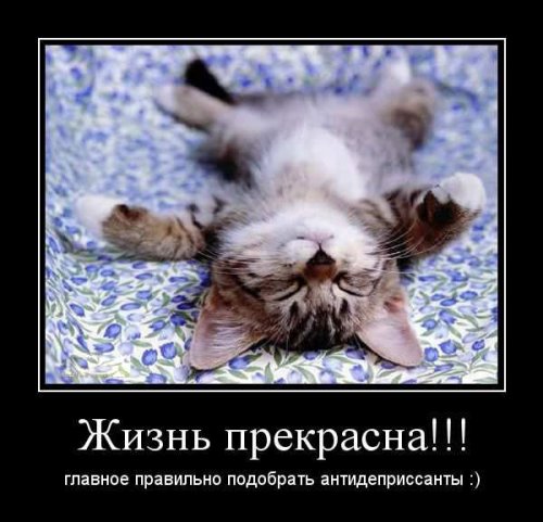 Новая порция демотиваторов (12 фото)