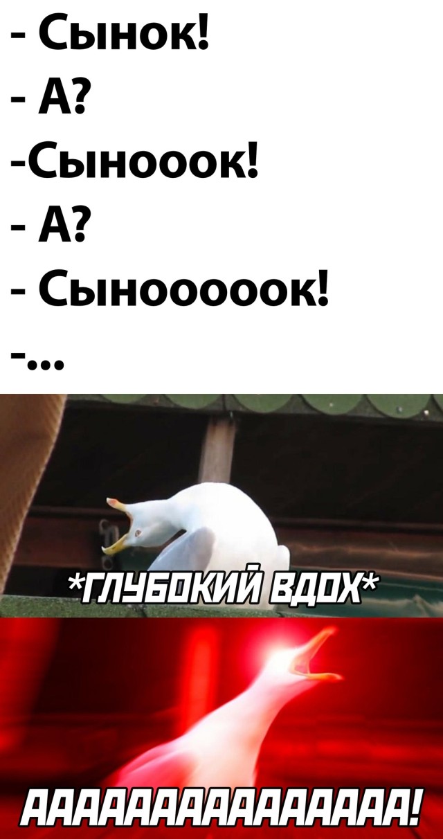 Подборка смешных картинок Подборка смешных картинок приколы,смешные картинки,юмор