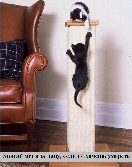 Мысли вслух :) Мысли вслух :)