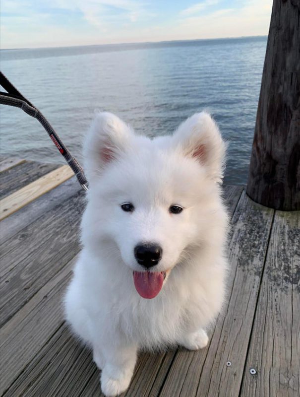 Мимишные фото от которых на душе станет теплее