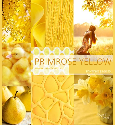 primrose yellow pantone color trend for spring 2017
