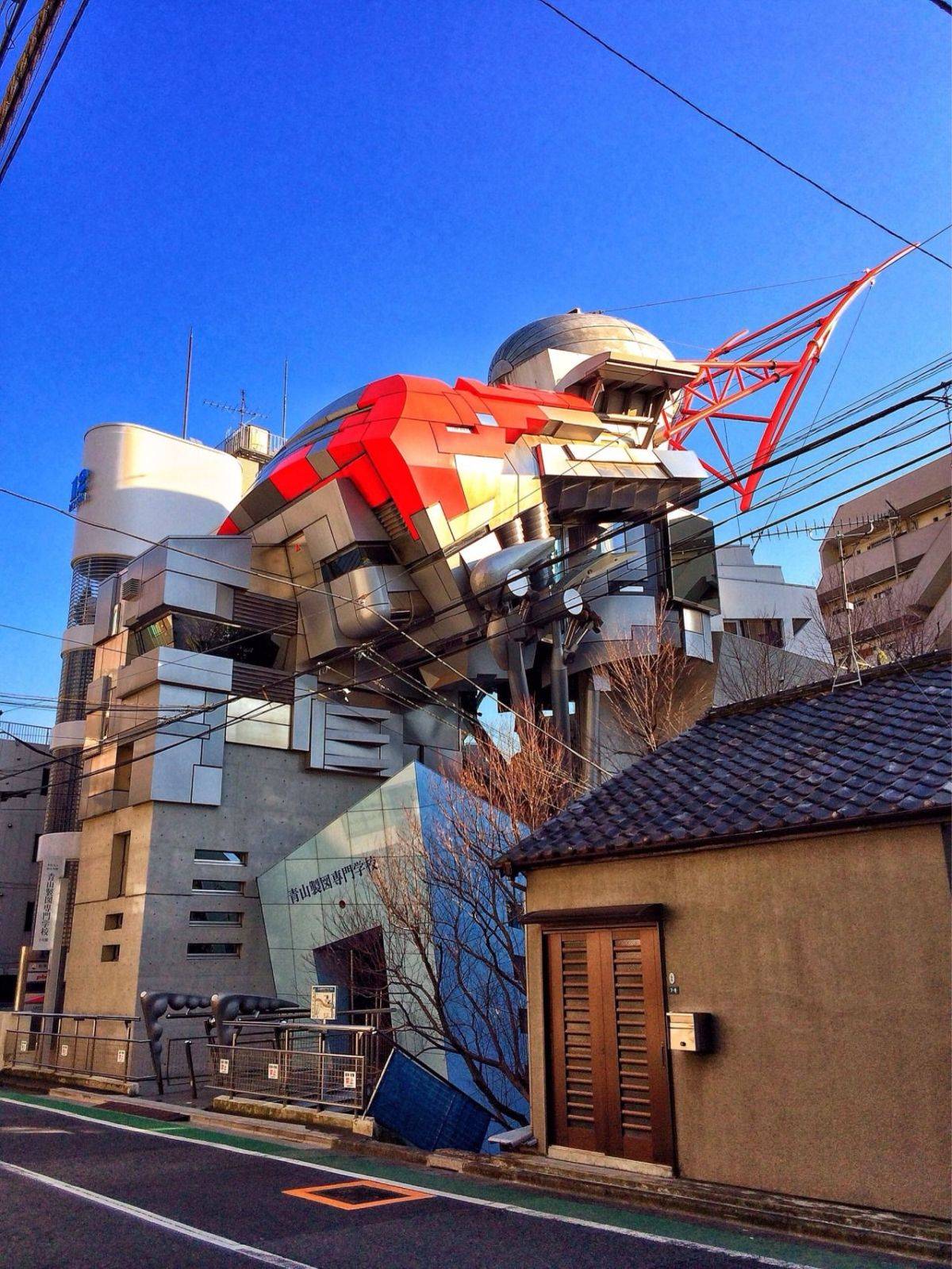 Забавные картинки для хорошего настроения Забавные картинки для хорошего настроения животные,жизнь,звери,земля,котики,коты,курьезы,мир,питомцы,планета,приколы,природа,смешное,собаки,факты,фауна,флора,щенки,юмор