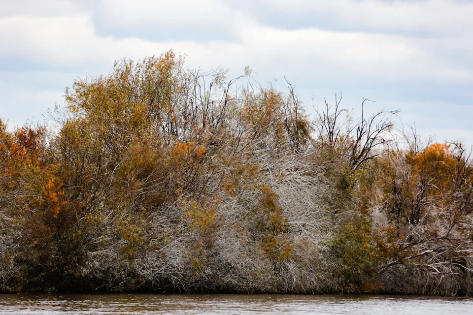 Кабанский заказник: маленький рай в дельте Селенги 