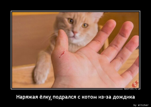 Демотиваторы хорошего дня