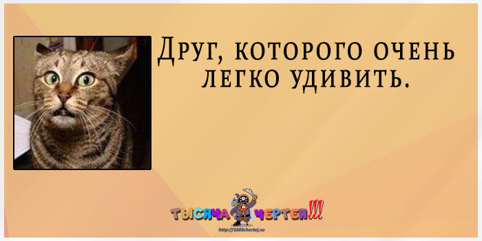 Прикольная классификация друзей по 20 типам. Демонстрируют животные Прикольная классификация друзей по 20 типам. Демонстрируют животные