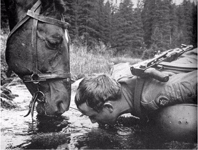 Дружба животных и людей на фотографиях 19 века
