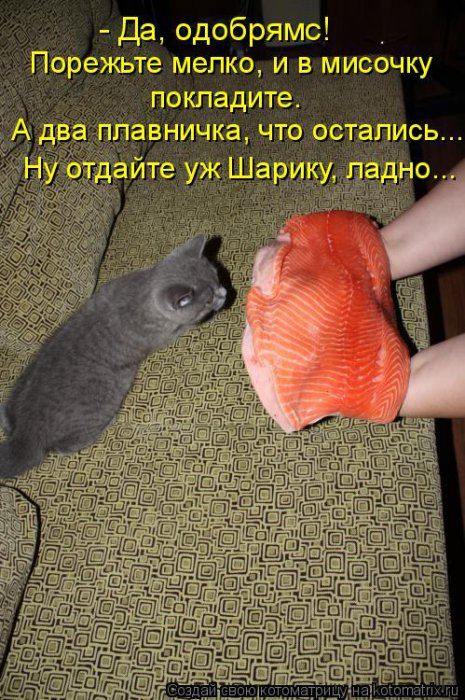 Мысли вслух :)