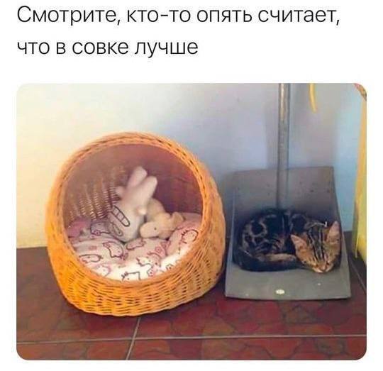 Прикольные мемы: «Устроился удалёнщиком…» 