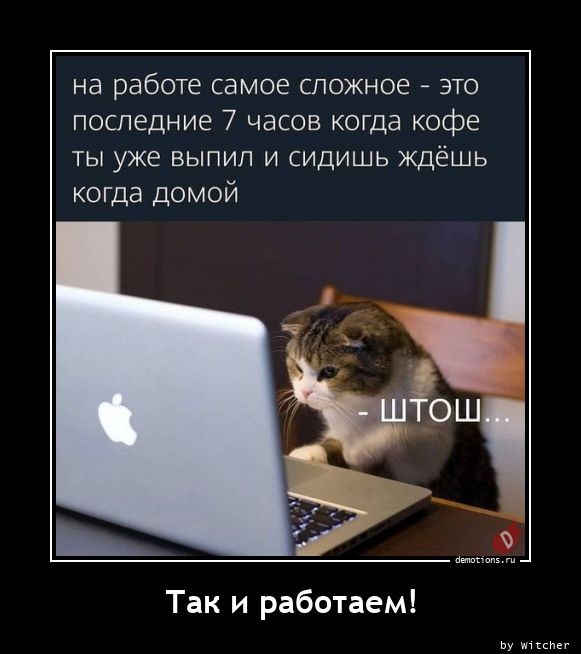 Традиционная коллекция демотивирующих картинок для поддержания вашего отличного настроения! Традиционная коллекция демотивирующих картинок для поддержания вашего отличного настроения!