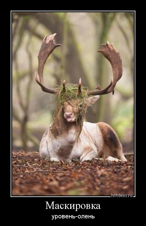 Свежие демотиваторы на Бугаге (15 шт)