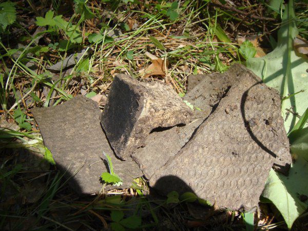 ссср, игры, развлечение