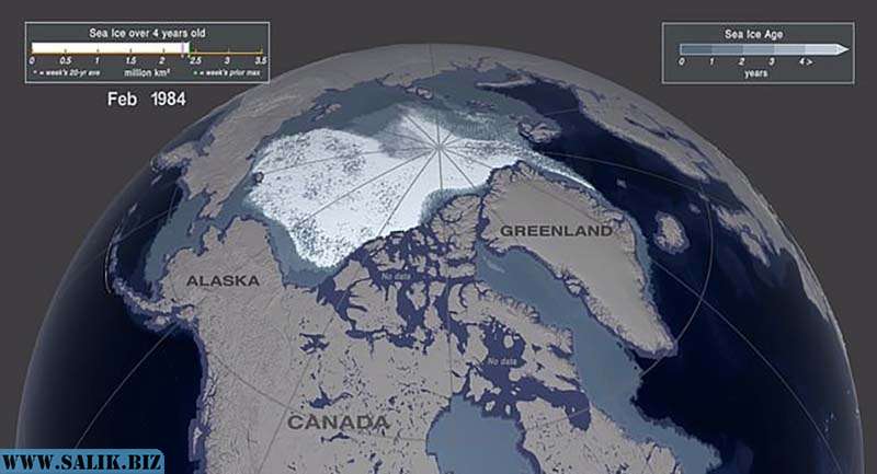 Ученые показали катастрофическое таяние арктического льда за последние 35 лет 