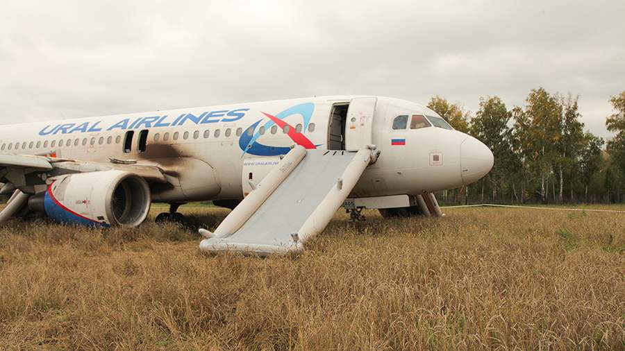 Посадивший самолет в пшеничное поле пилот уволился из «Уральских авиалиний»