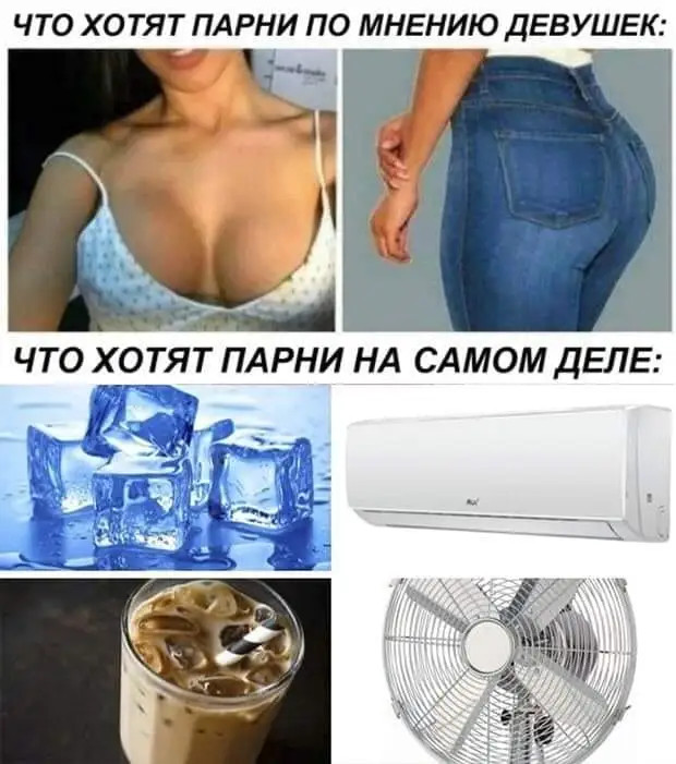 Продавец колбасного отдела, на который напали грабители, не смог уберечь салями, зато защитил докторскую! Продавец колбасного отдела, на который напали грабители, не смог уберечь салями, зато защитил докторскую! кyпил, спрашивает, сказать, Париже, мальчик, говорит, единственного, выпьем, смогу, публичные, всегда, чтобы, полетел», дерьом, несет, открытый, сказал, которого, посмотри, крокодил