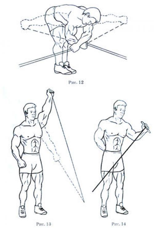 Комплекс упражнений на развитие верхнего плечевого пояса. Комплекс упражнений для развития мышц плечевого пояса 01