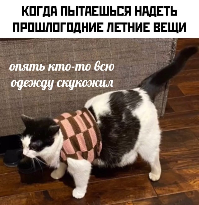 Подборка прикольных картинок 