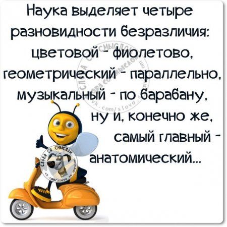 Самые лучшие шутки для отличного настроения Самые лучшие шутки для отличного настроения