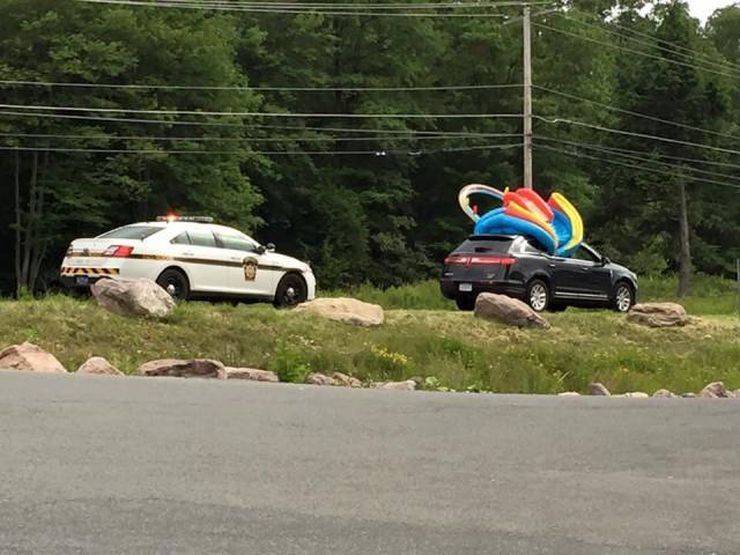 Забавные картинки для хорошего настроения Забавные картинки для хорошего настроения животные,жизнь,звери,земля,котики,коты,курьезы,мир,питомцы,планета,приколы,природа,смешное,собаки,факты,фауна,флора,щенки,юмор