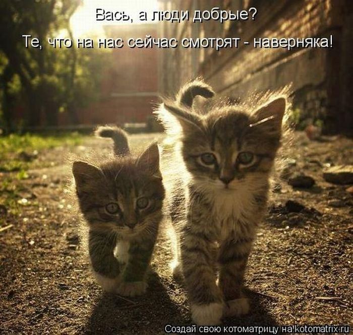 Мысли вслух :)