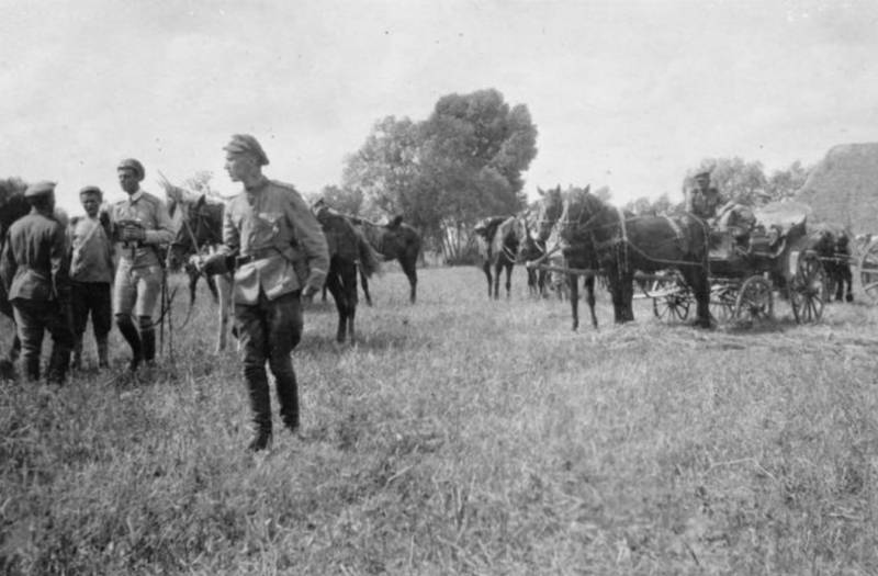 Причины Гражданской войны на Дону и её этапы