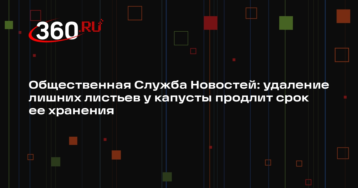 Общественная Служба Новостей: удаление лишних листьев у капусты продлит срок ее хранения