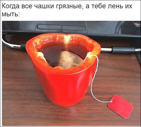 Прикольные картинки картинки для хорошего настроения, прикол, юмор
