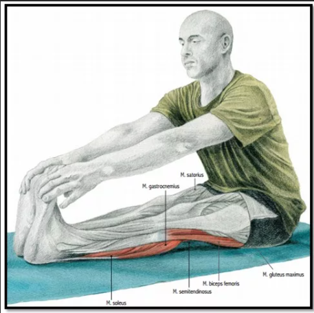 Ночные судороги в мышцах ног: чем можно помочь?