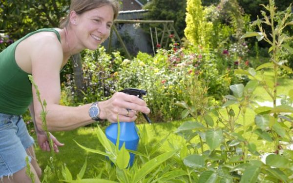 11 необычных способов применения уксуса на даче полезные советы,разное