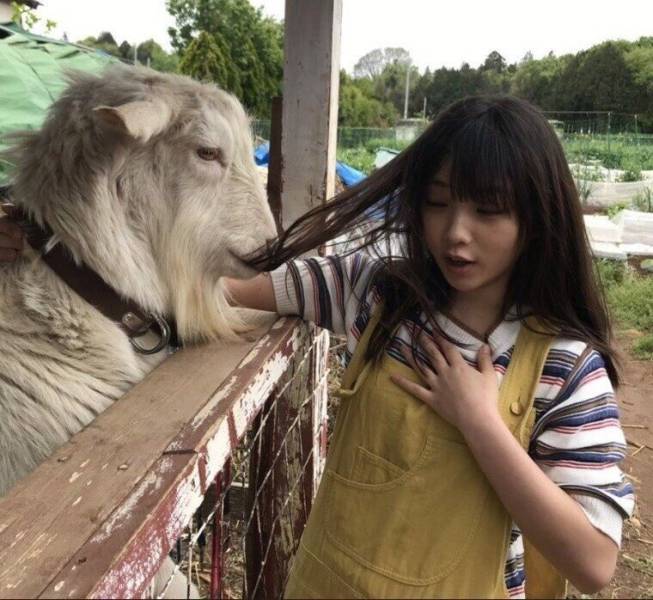 Подборка прикольных картинок Подборка прикольных картинок приколы,смешные картинки,юмор