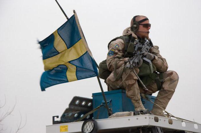 Как шведская армия с Путиным «воевала»