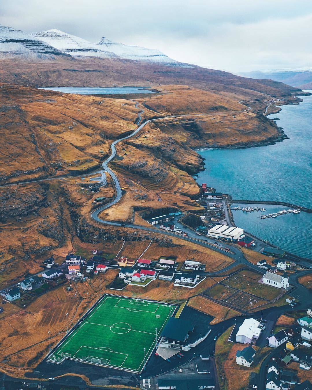 Забавные картинки для хорошего настроения Забавные картинки для хорошего настроения животные,жизнь,звери,земля,котики,коты,курьезы,мир,питомцы,планета,приколы,природа,смешное,собаки,факты,фауна,флора,щенки,юмор