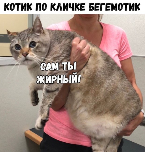 Фотоподборка понедельника 