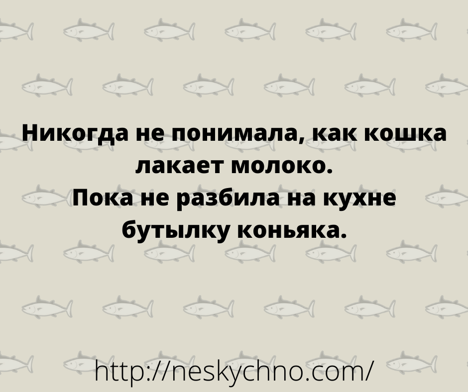 Отличная подборка для поднятия настроения Отличная подборка для поднятия настроения