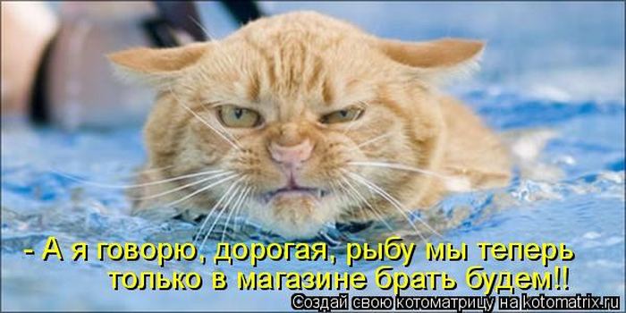 Мысли вслух :)