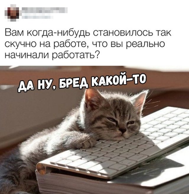 Фотоподборка понедельника 