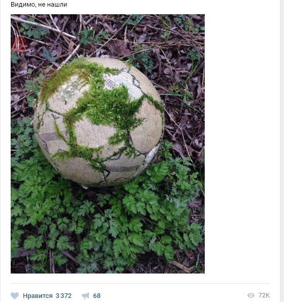 Смешные комментарии и высказывания из социальных сетей высказывания, комментарии, прикол