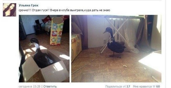  всё о халяве