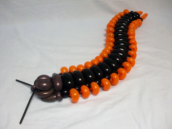 Centipede