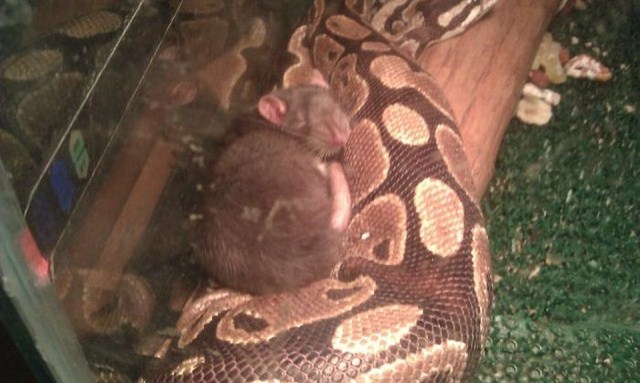 Прикольный позитив в фотографиях (110 фото)