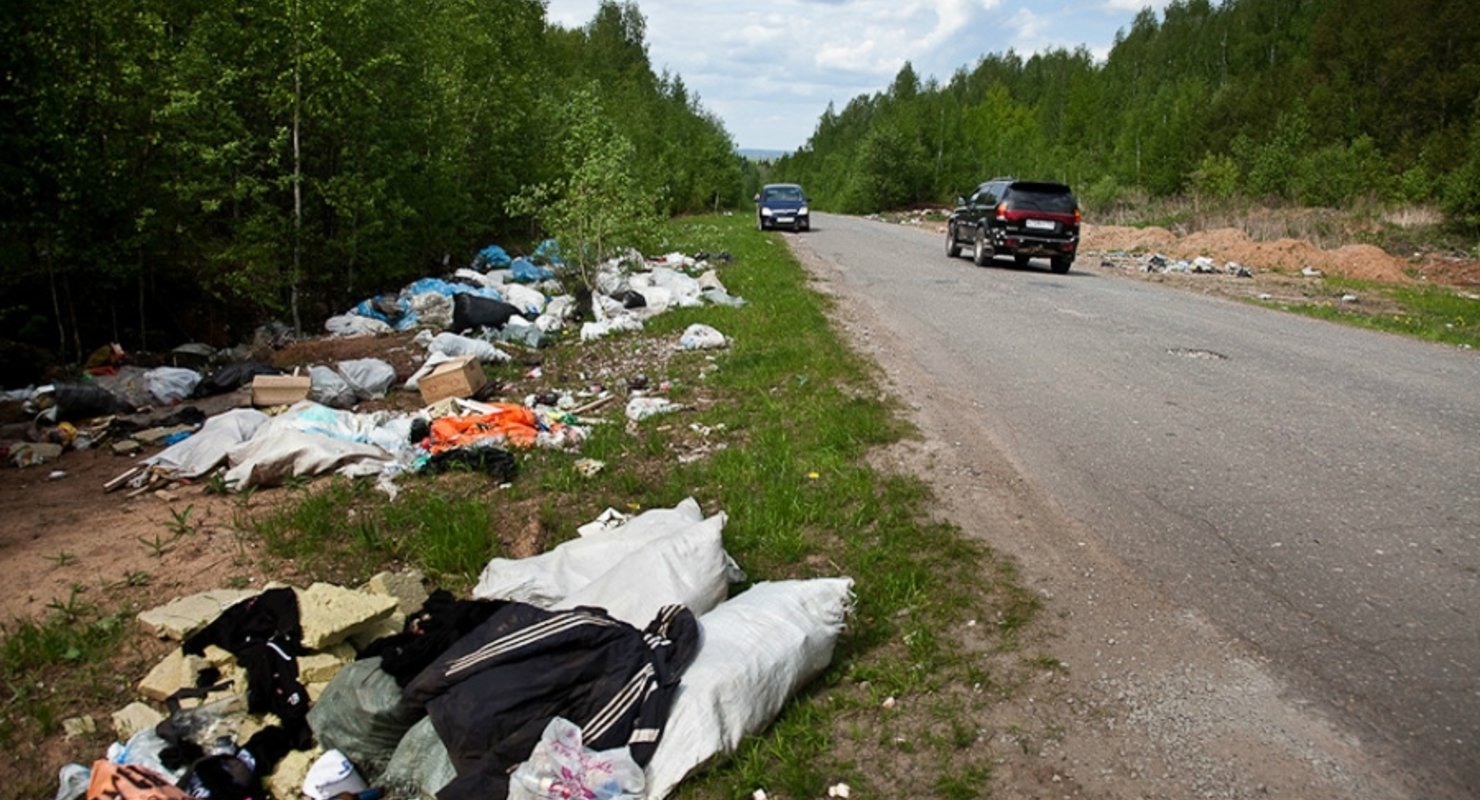 Выкинул мусор из машины – заплати штраф 200 000 рублей