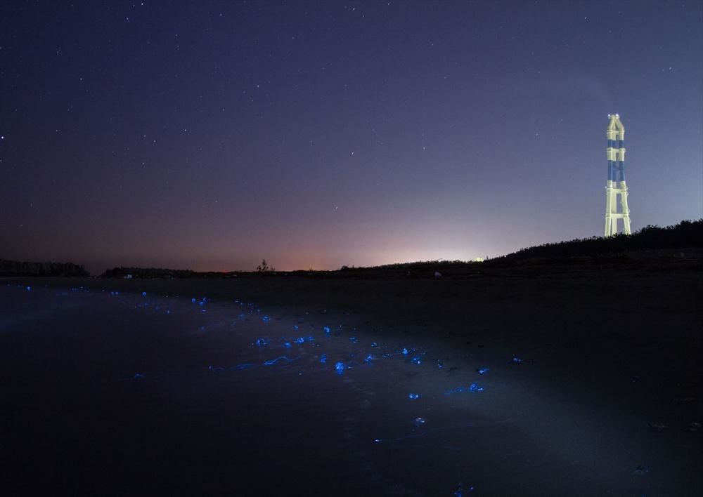 Удивительные водоёмы планеты, с которыми связаны загадочные явления Удивительные водоёмы планеты, с которыми связаны загадочные явления