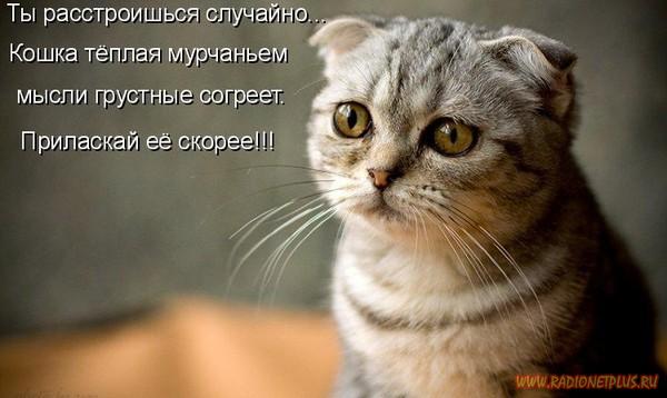 Давайте улыбаться вместе! :) Давайте улыбаться вместе! :)