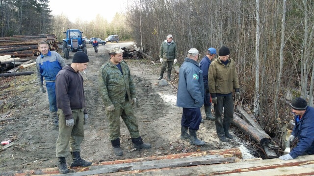 Жители карельского поселка своими силами построили мост 