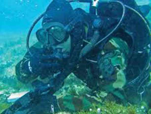 ������� ���������� ���������� ������ � ��������� �����