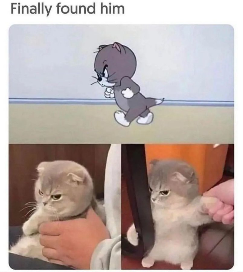 Немножко смешных зверушек... Надёргано , отовсюду