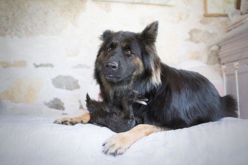 Неожиданная дружба Неожиданная дружба